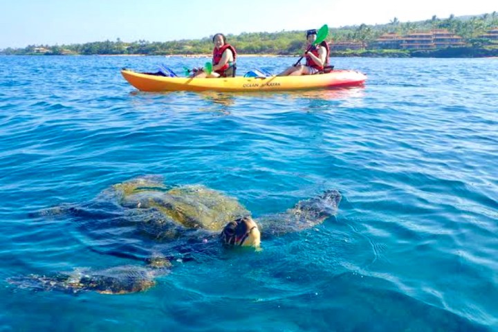 a man riding on the back of a boat in a body of water